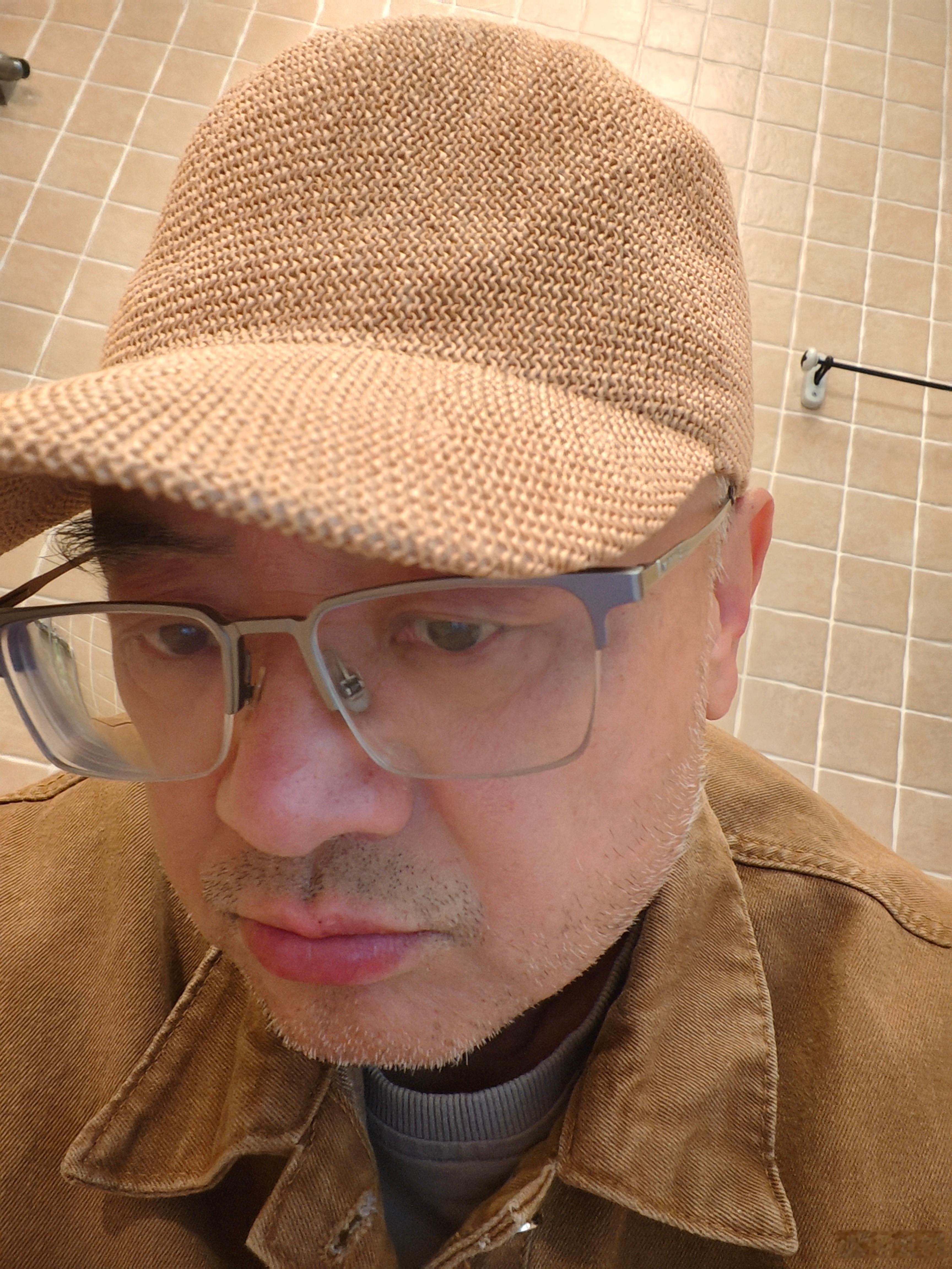 写长篇写到卡尔·施密特和列奥·斯特劳斯，他们穿着隐身衣，出现在了巴黎。可能只是他