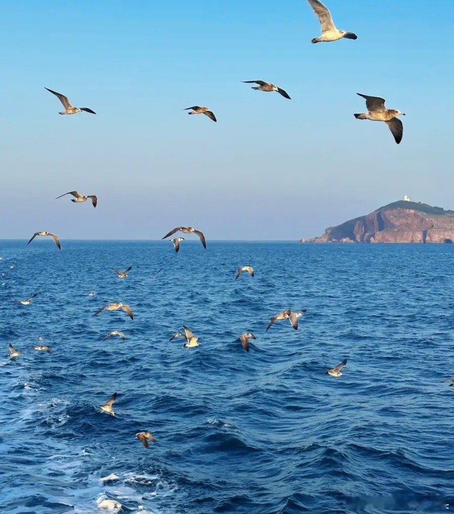 大彻大悟的一段话：下等的孝顺，是给钱；中等的孝顺，是给脸；顶级的孝顺，是——先顾