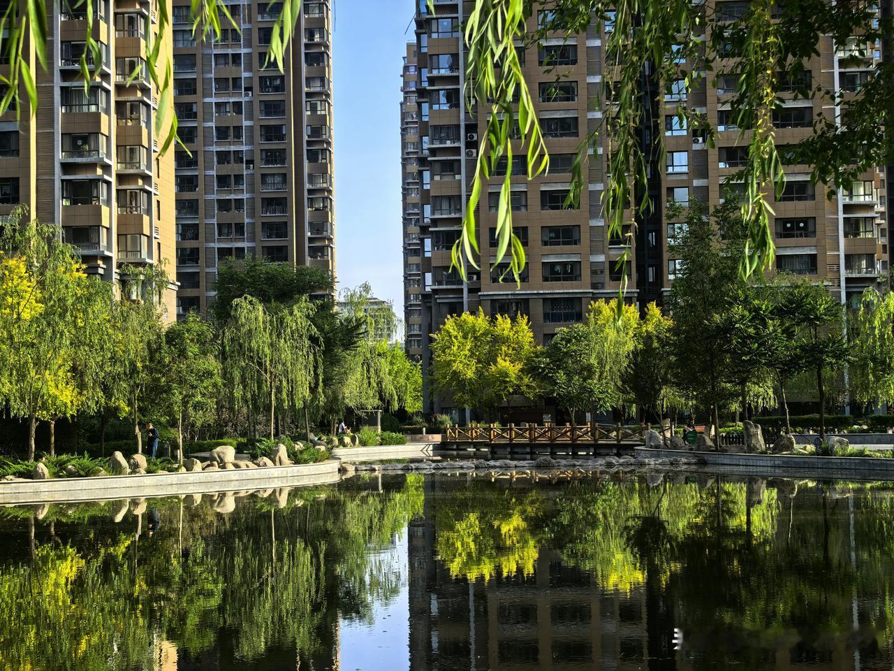 湖光楼影，满庭绿意伴风柔。