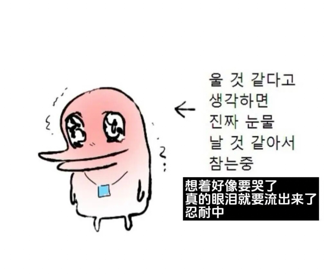 韩语梗图ㄹㄹㄹ 