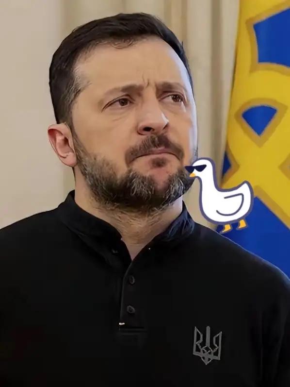 快讯!快讯！
美国和乌克兰共同宣布
9月17日，乌克兰和美国国际开发金融公司（D