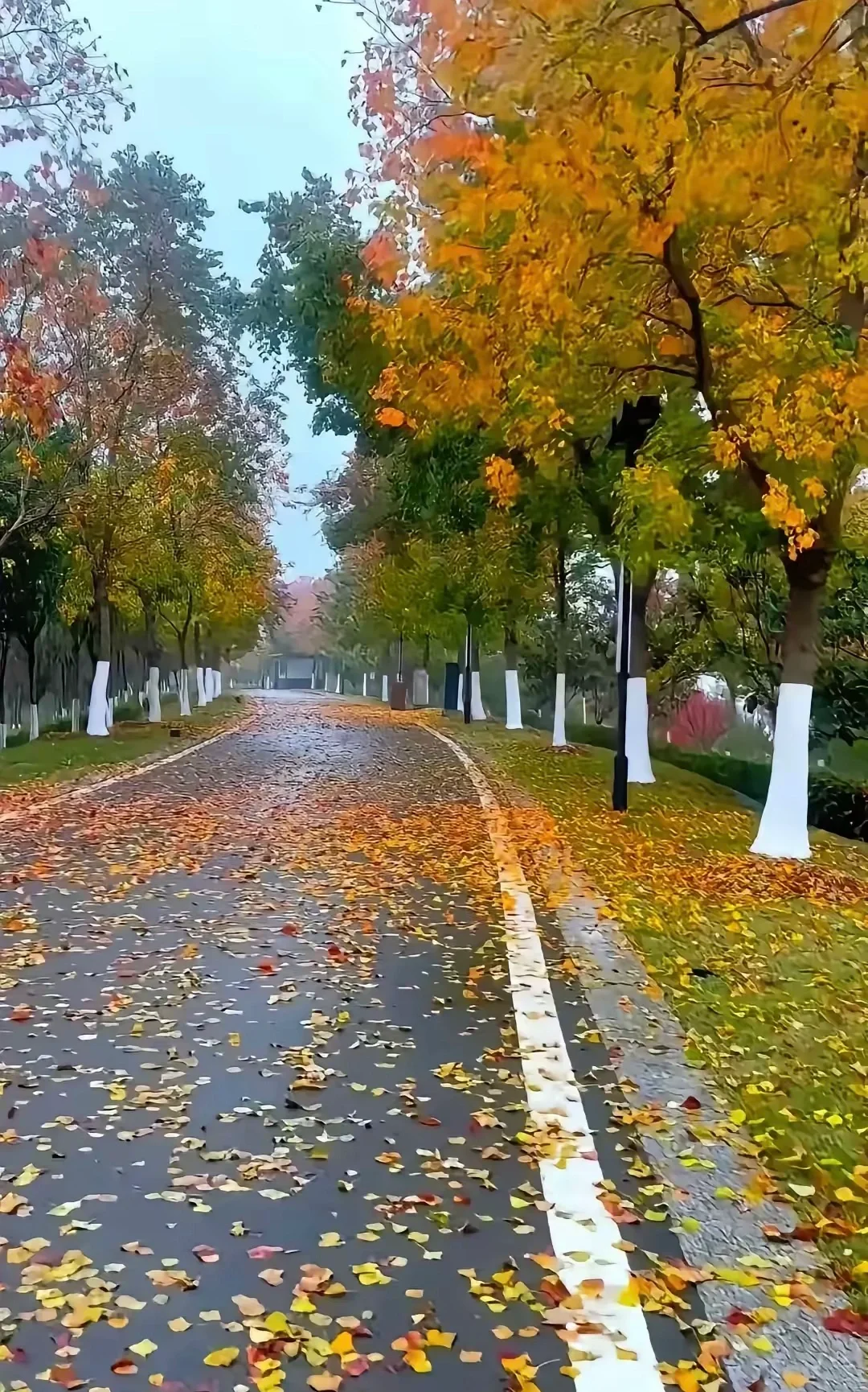 所谓中年危机——也许不只是中年，除了那些外显的现实压力之外，更多的是人...