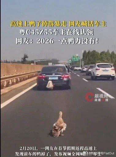 这位粤C车主你的鸭子掉了动力会不会变弱了因为没有了“涡轮增压”