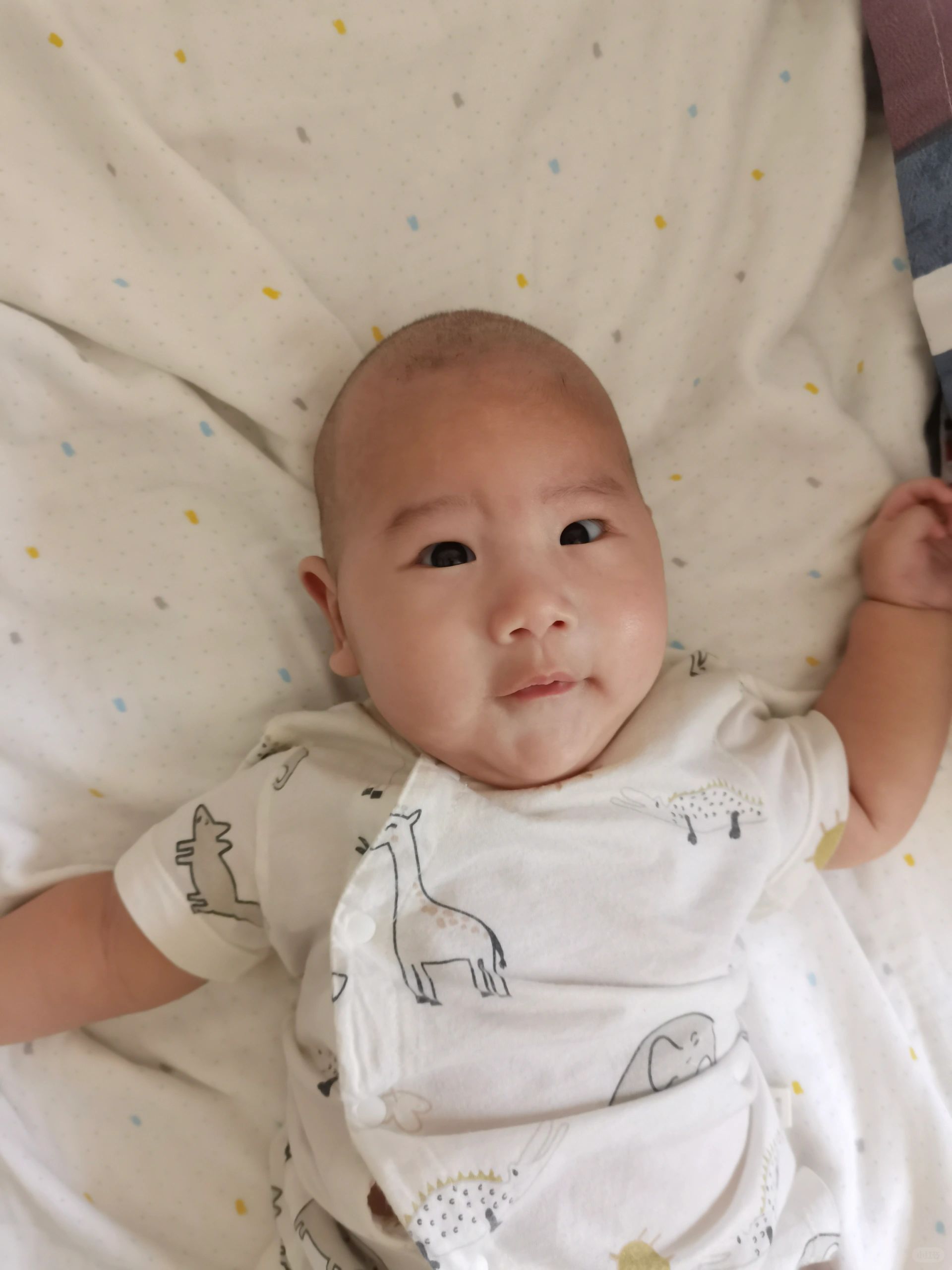 二月龄玩具，看这一篇就够了
