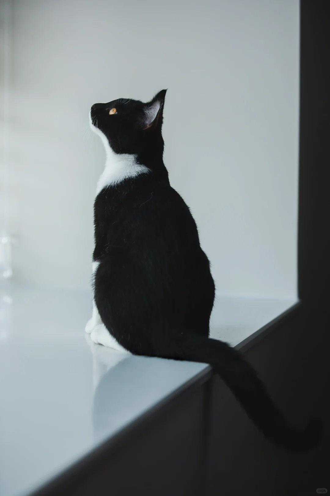 黑与白，光与影