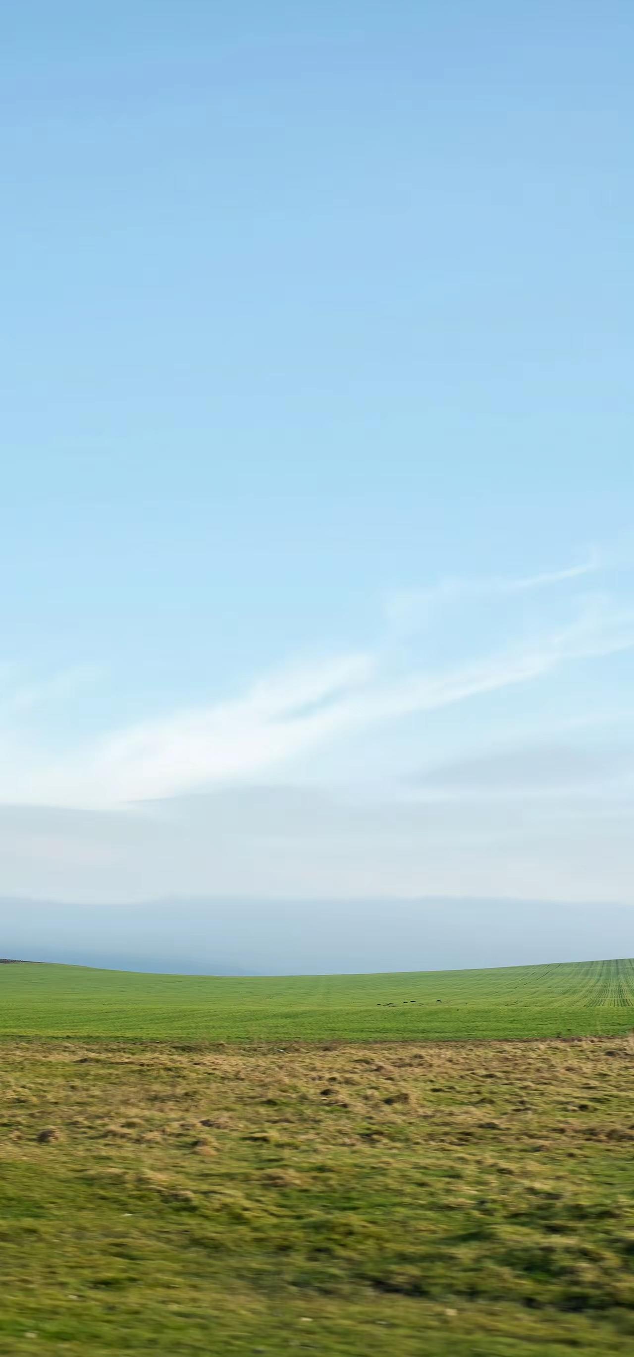 天南地北大拜年