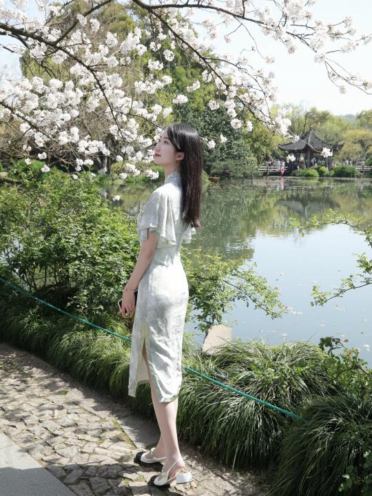 春意盎然的西湖美景🌸