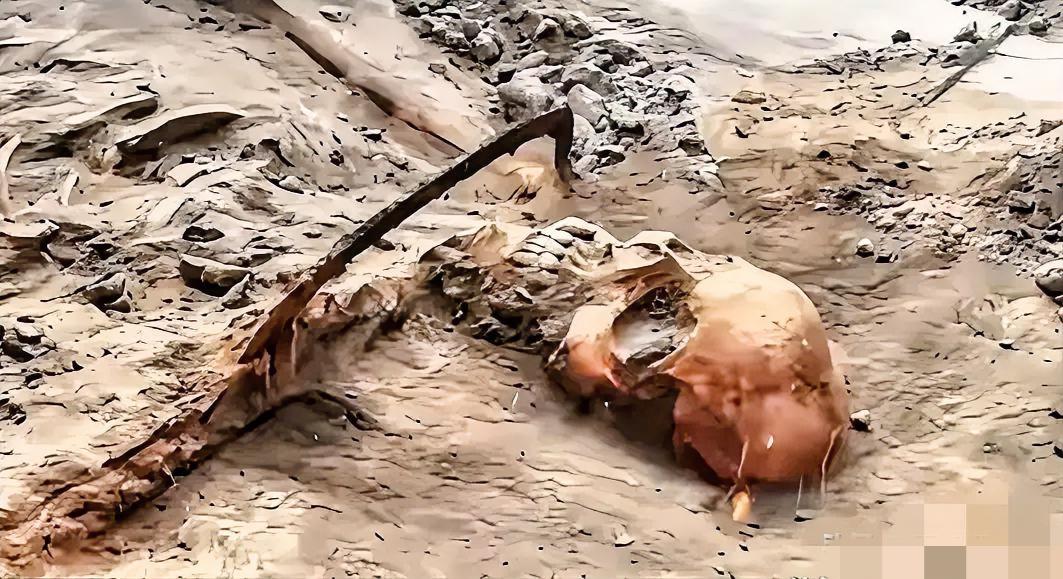 83年埋骨黄土，
1068具遗骸的发现，
真的

让人心头发颤到说不出话！
 