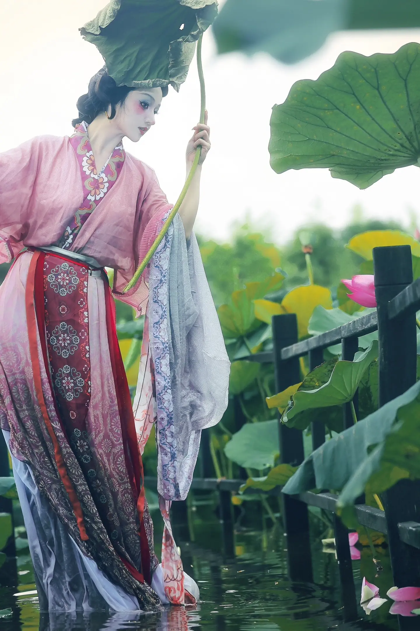 荷花拟人 | 接天莲叶无穷碧。摄/后：我