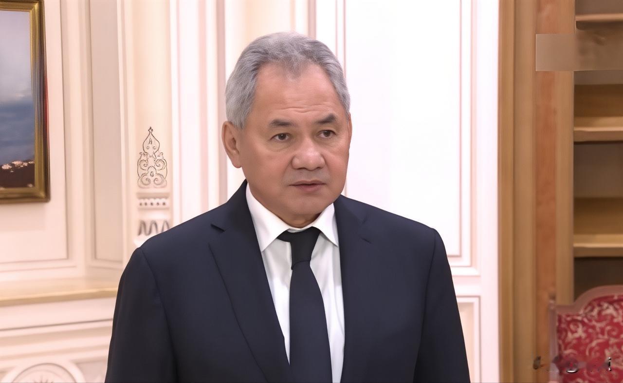 绍伊古直言，日本就是美国的附庸。

俄罗斯安全会议秘书绍伊古11月13日在接受采