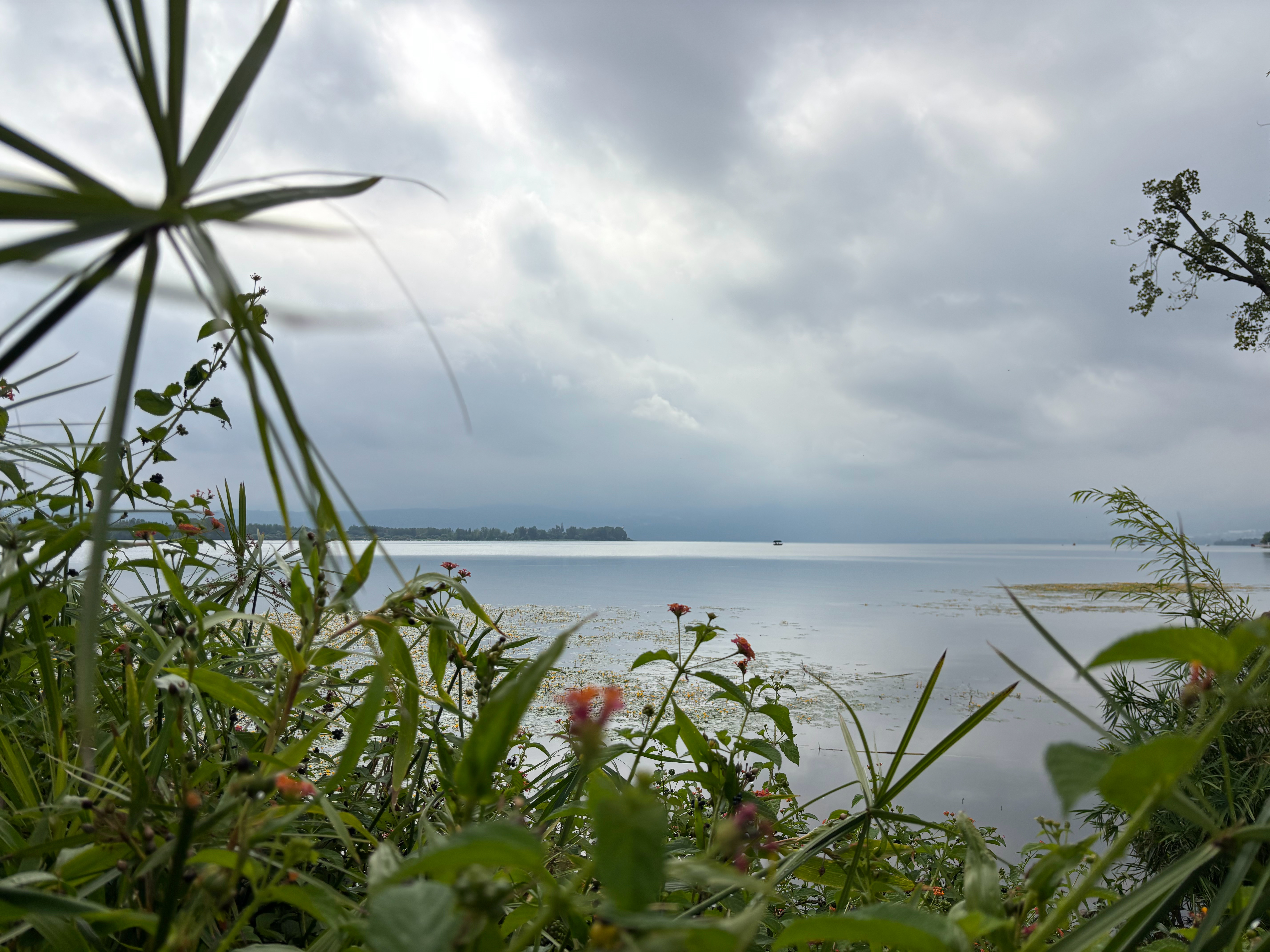 沿着邛海边走了1小时。  ​​​