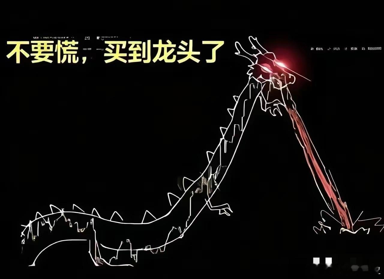 现在的行情，不是看业绩，不是看技术，而是看概念题材，有大资金玩的股票就是龙头，没