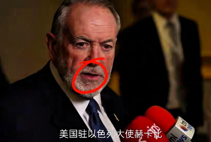 口出狂言！美驻以大使竟称“以色列拿下整个中东也没问题”！

这哪是外交辞令？这分