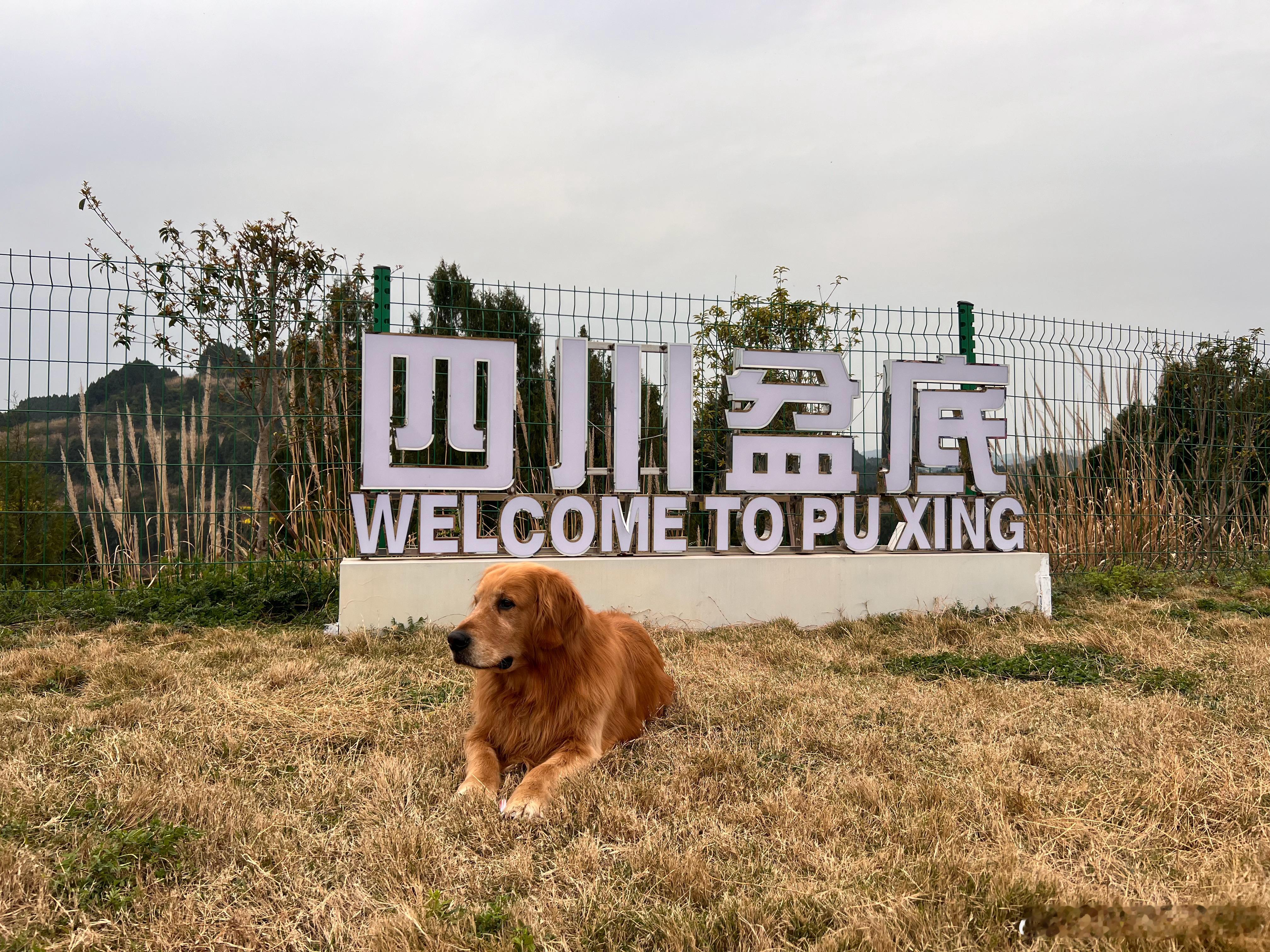 图九的小老太是姐妹儿的外婆。九十多岁了吧，身体健朗得很。姐妹儿上次回来看到我在给