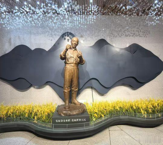 收米 长沙·隆平水稻博物馆