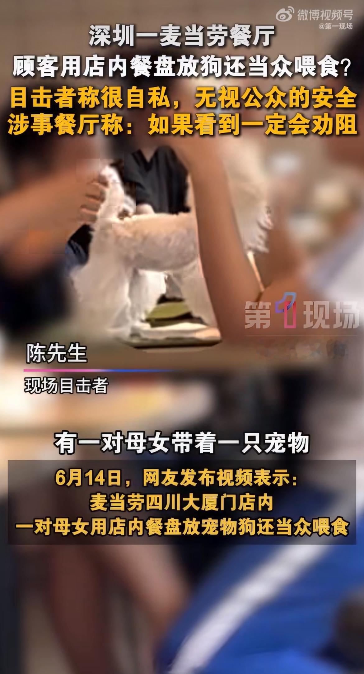 “真是太狗了！”深圳一对母女带狗进麦当劳，直接把狗放餐盘里当众喂食！目击者直言不