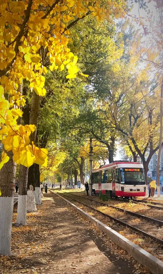这是非常正确的规划！
长春的有轨电车之所以成为网红，并不是因为它“历史悠久”、“