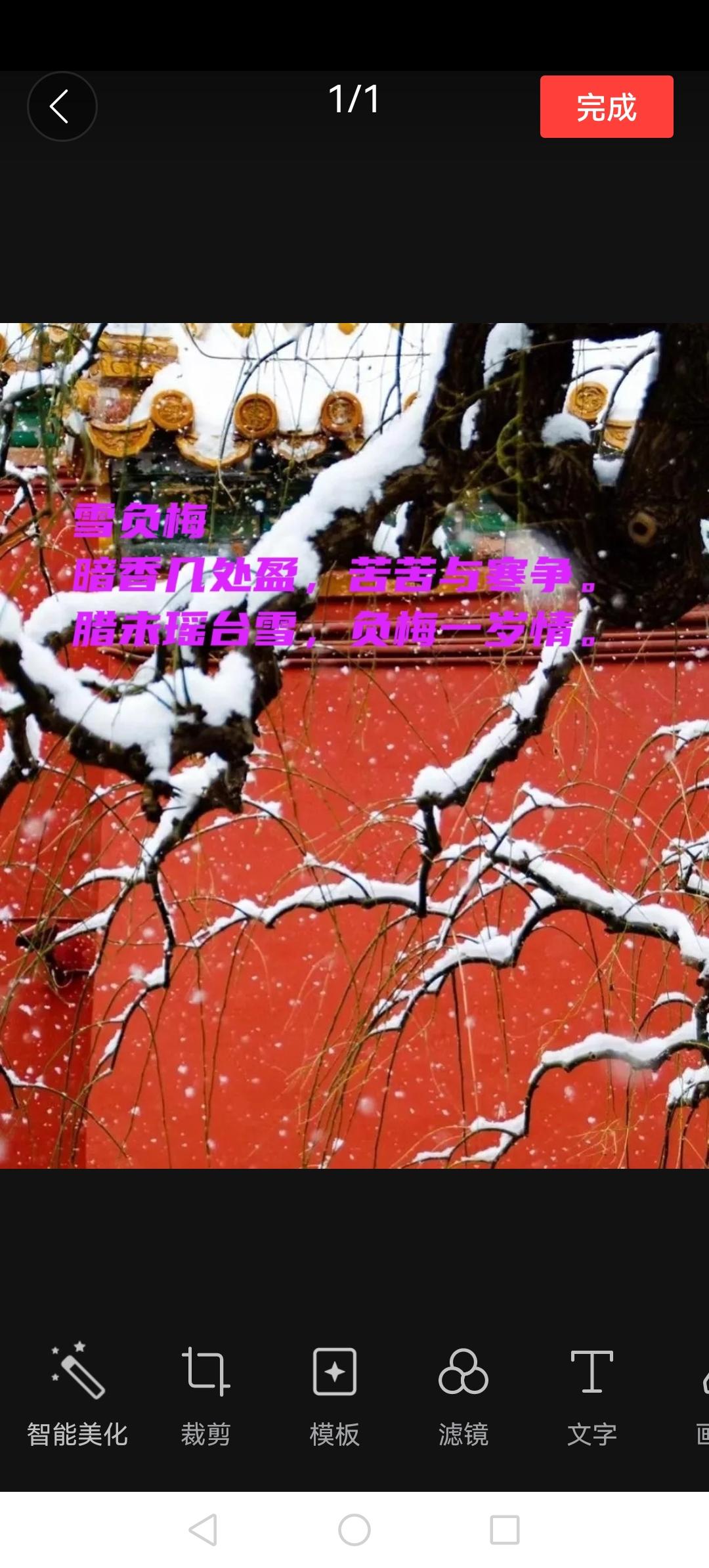 暗香几处盈，苦苦与寒争。
不度瑶台雪，负梅一岁生。