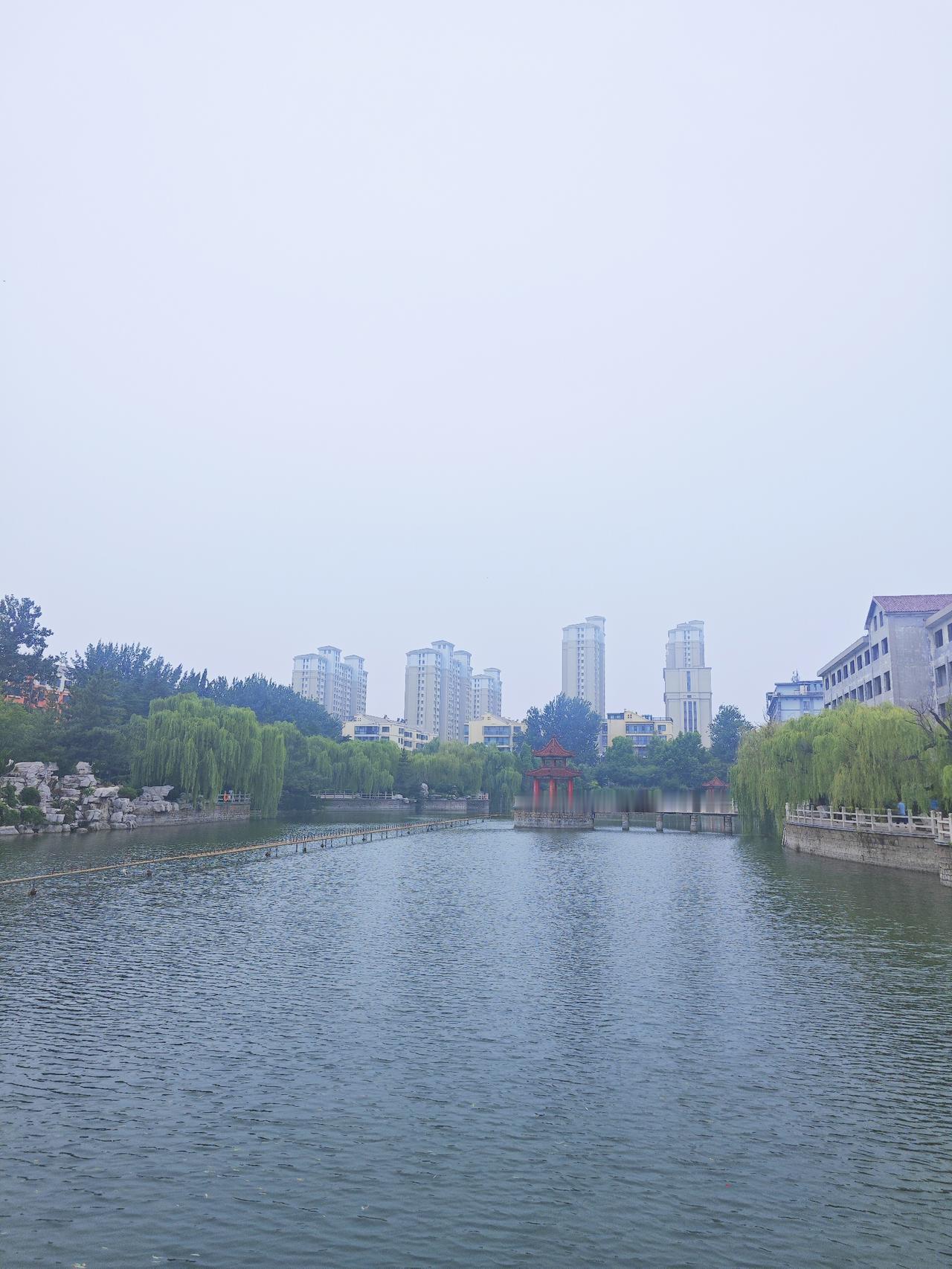 面对天灾，全国上下迅速行动了起来，展现出了强大的凝聚力与守望相助的精神。
在全国