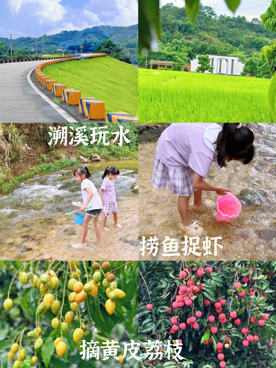 夏日溪流玩水地 | 捞鱼捉虾摘荔枝看稻田🌾