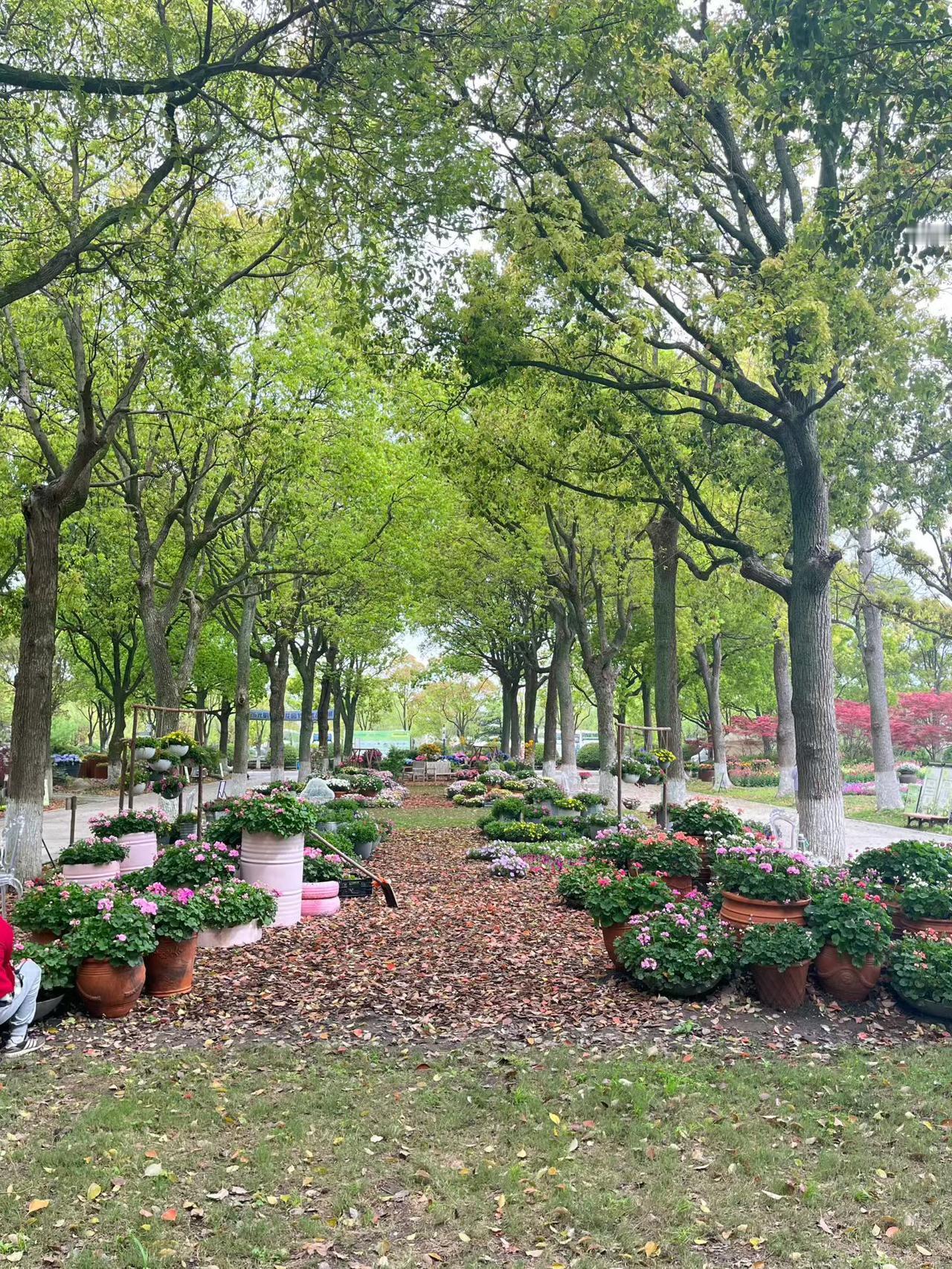 岁月漫长，但每一个今天都值得珍惜，用心生活，便是最大的幸福。