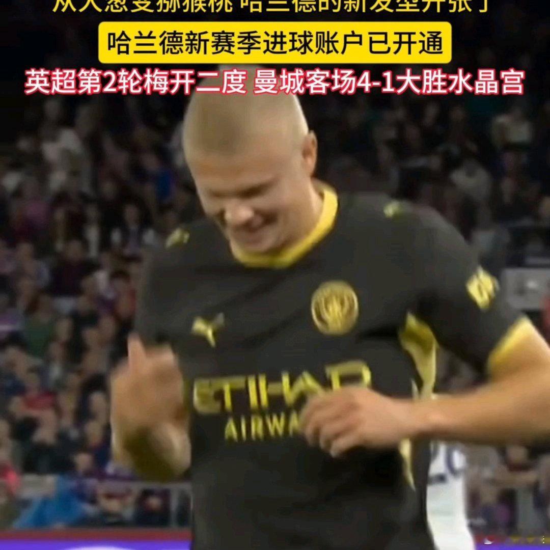 哈兰德的新发型开张了挪威猕猴桃 王者实力归来[赞][打call]一飞冲天 ​​​