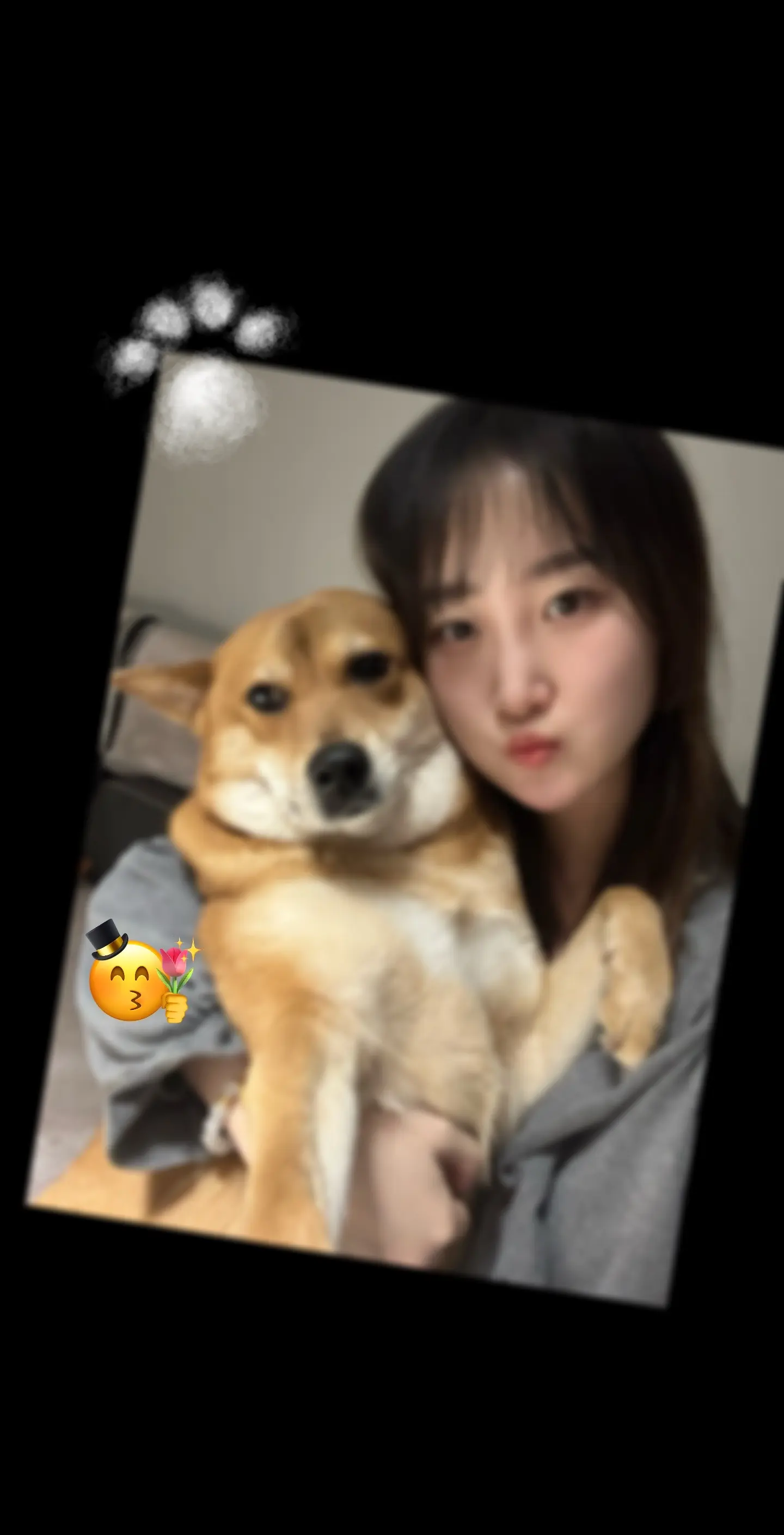 世界破破烂烂，小狗缝缝补补🎂。  茜茜说：所有烦恼都“汪汪汪”🐕 ...