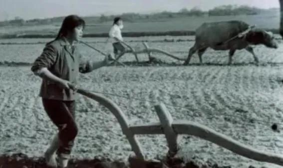 1977年，女知青刘琦见返城无望，决定嫁给当地一农民。然而，18年后，刘琦狠心抛