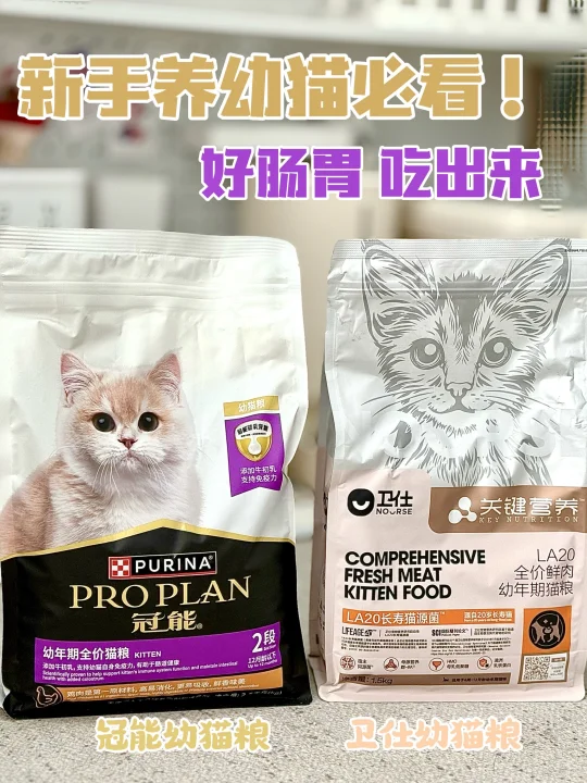 2款热门幼猫粮测评 哪款才是软便救星❗️