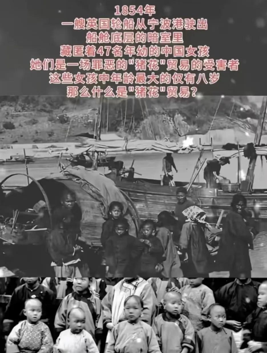 纪录片上了热搜，

挺多人在看《731》。

讲的是日本在哈尔滨搞人体实验的事，