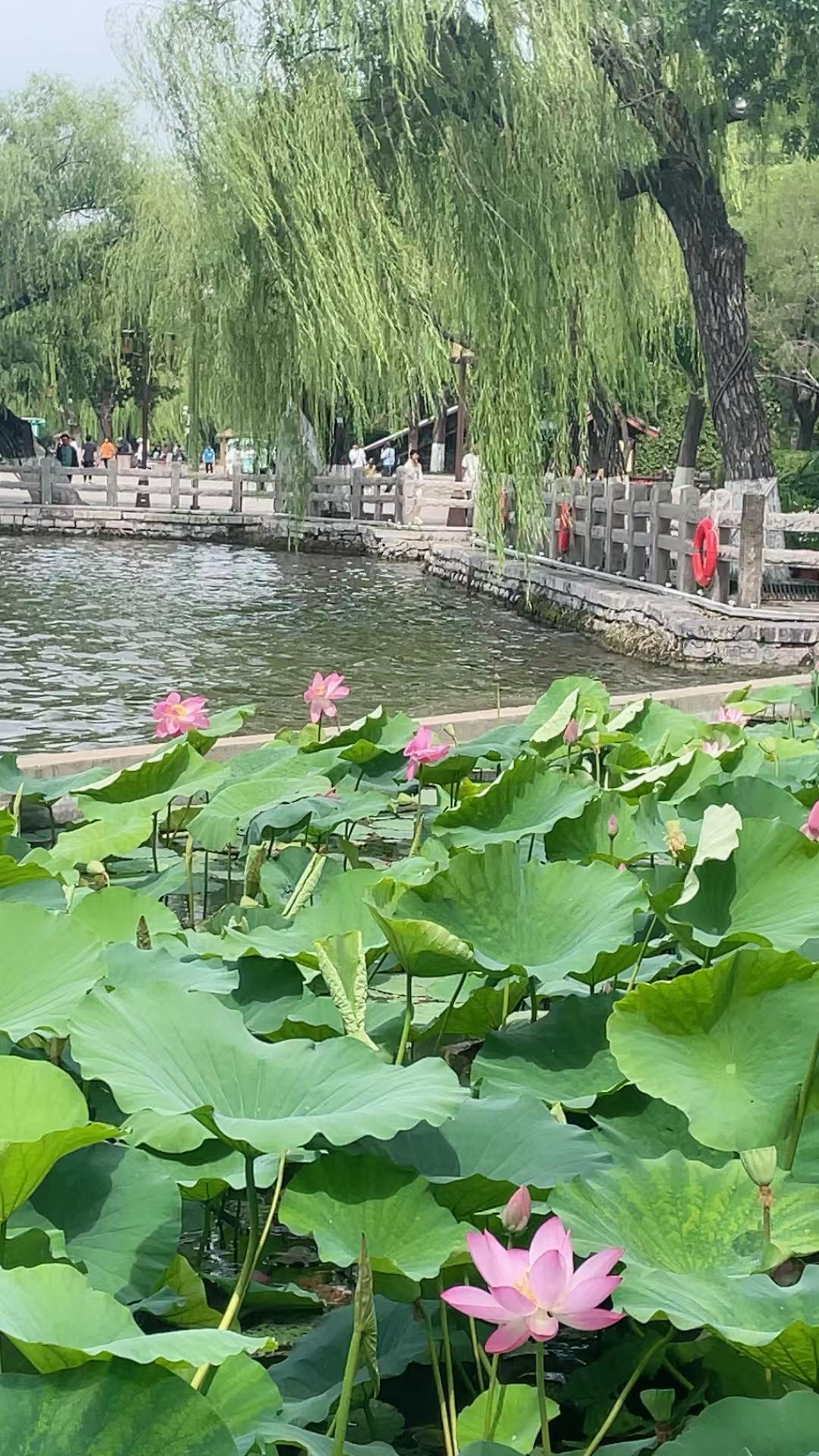 老爸93岁，目前白天思维还可以，就是犯困；夜间睡眠尚可，醒来经常犯糊涂，凭惯性独