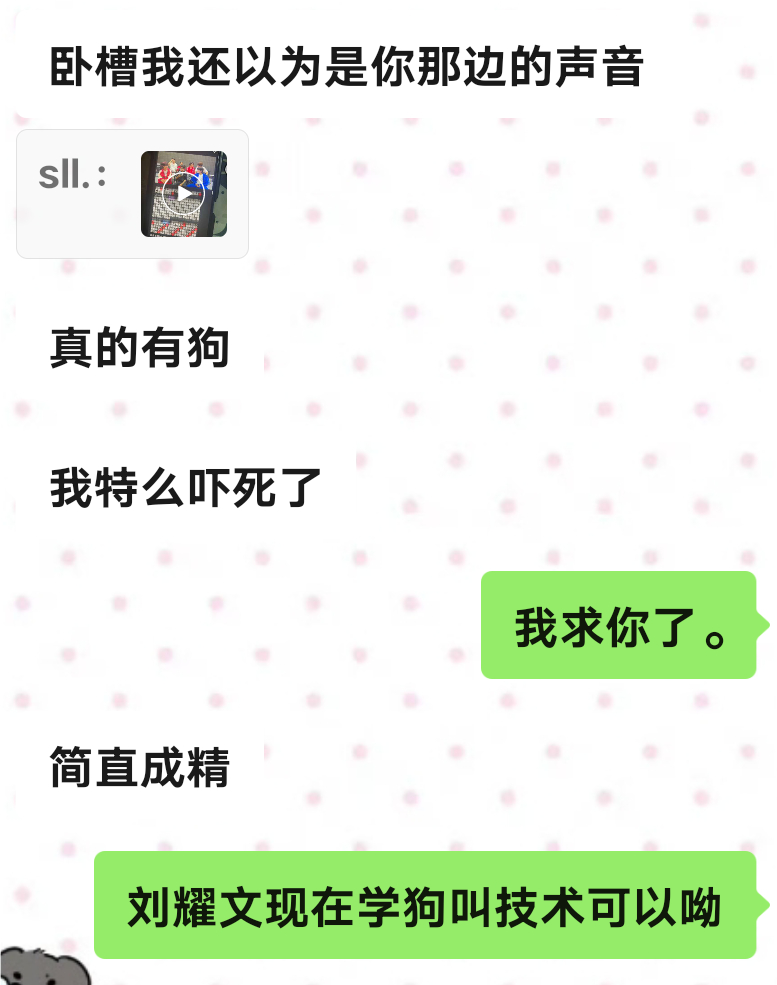 我笑的肚肚 