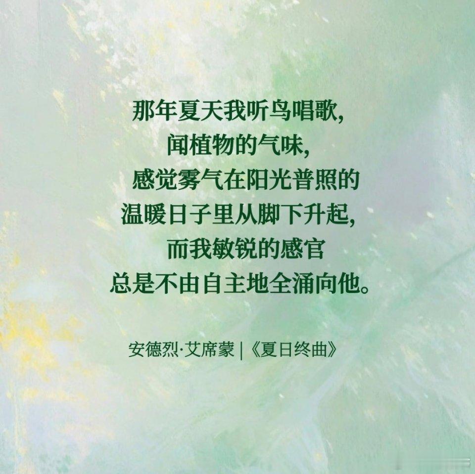 作家笔下囿于盛夏的多巴胺文学🍃🍃🍃 