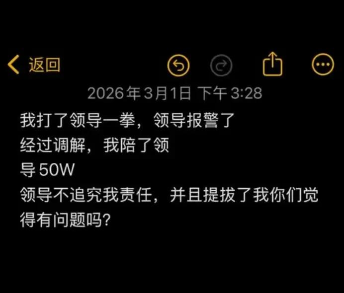 网友：我打了领导一拳，领导报警了经过调解，我赔了领导50W领导不追究我责任，并且