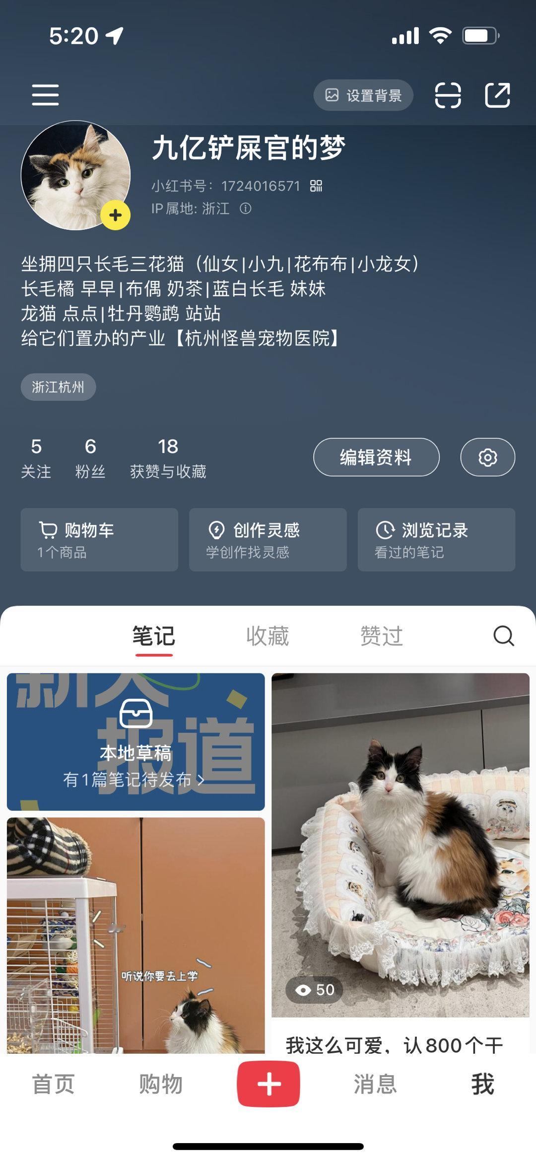 🍠 开新号了~ 【九亿铲屎官的梦】之前号断更太久了，废了这次一定坚持日更！ ​