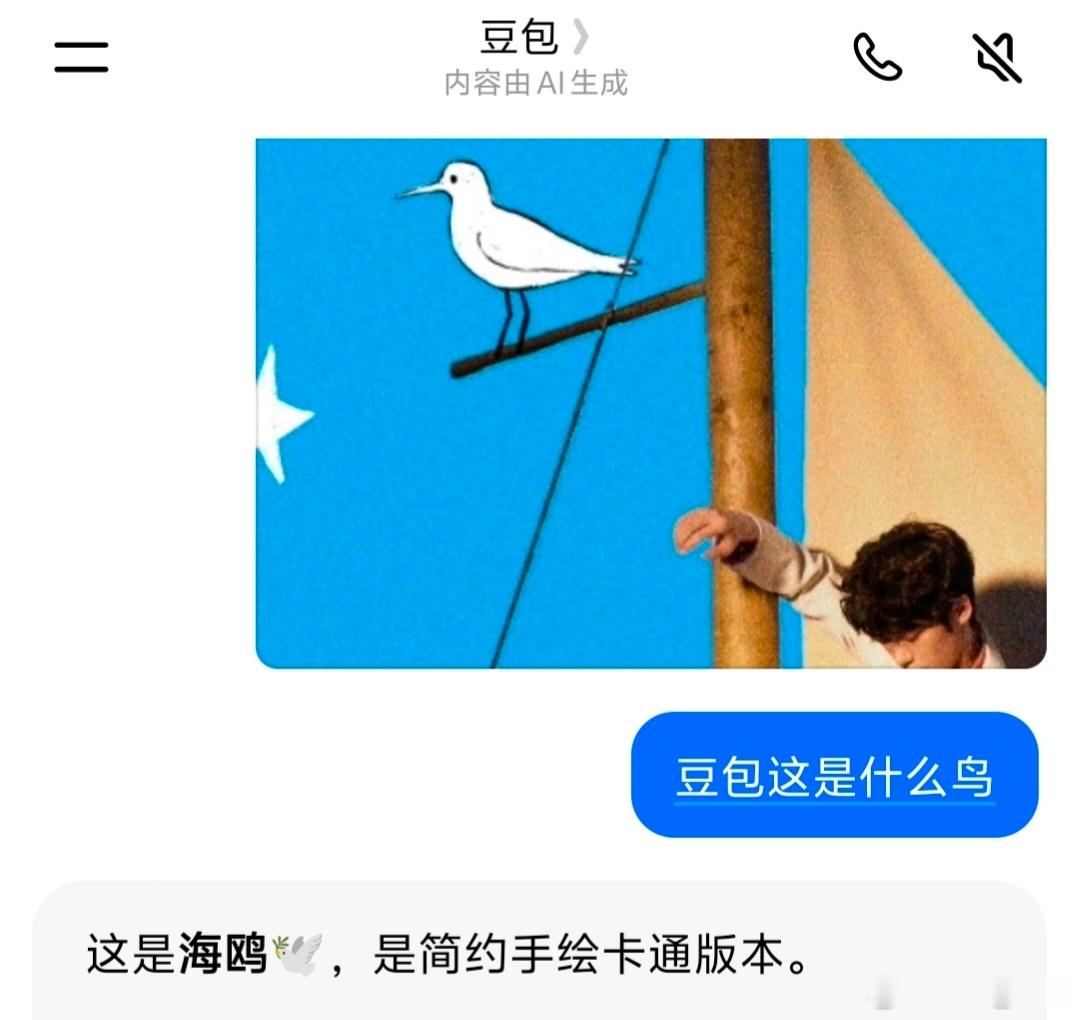 泥点子这是海鸥不是鹤，别眼瞎了