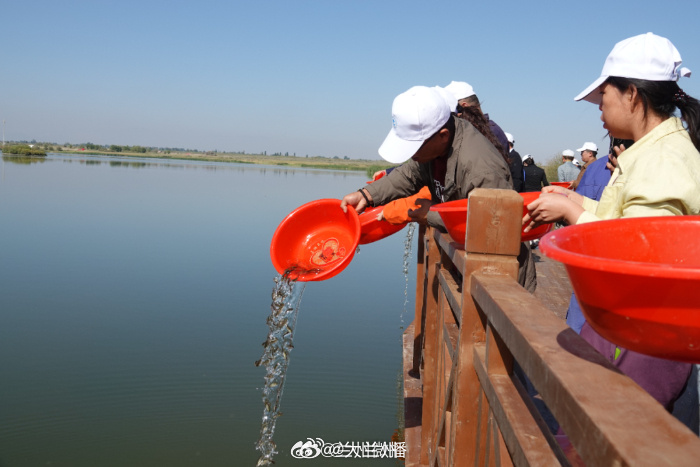 嘉峪关草湖湿地投放50万尾鱼苗净化水质9月11日，嘉峪关草湖国家湿地公园开展水生