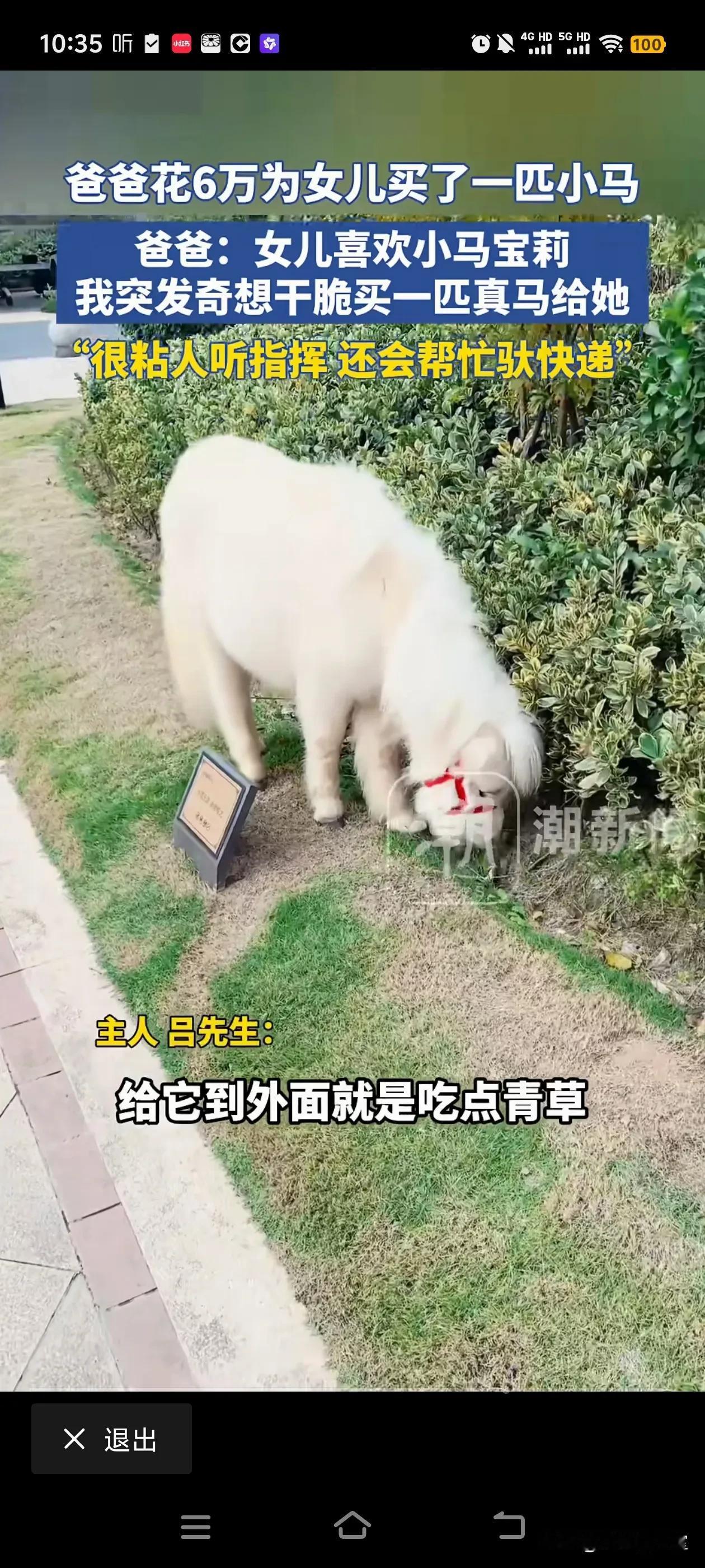 一博主女儿喜欢小马宝莉，就买个马。
网友A:我儿子喜欢恐龙，哪里有卖的？
网友B
