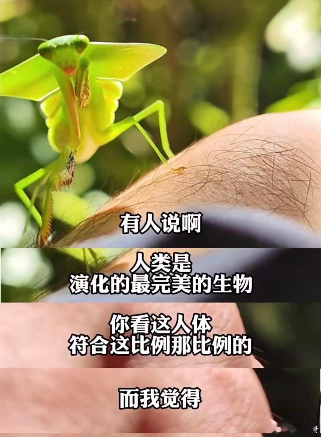 表达一些我的永久心情 