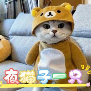 夜猫子一只