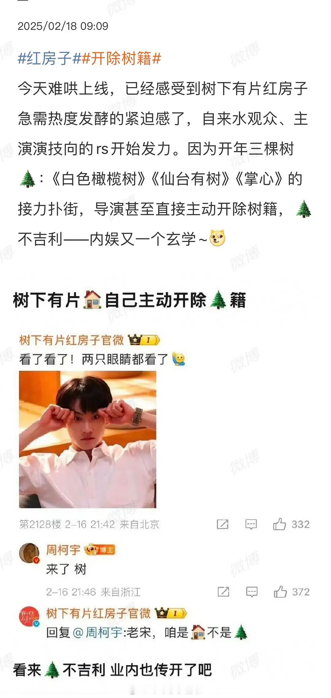 🌲不吉利——内娱又一个玄学~后续剧名带🌲的，会不会改名❓开除树籍｜树下有片红