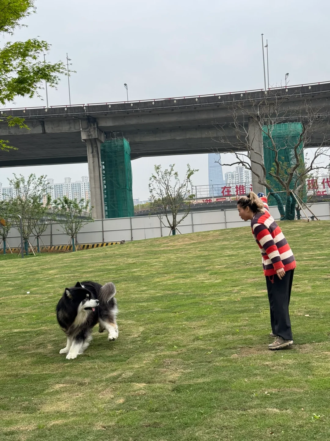 这不是个好姨姨