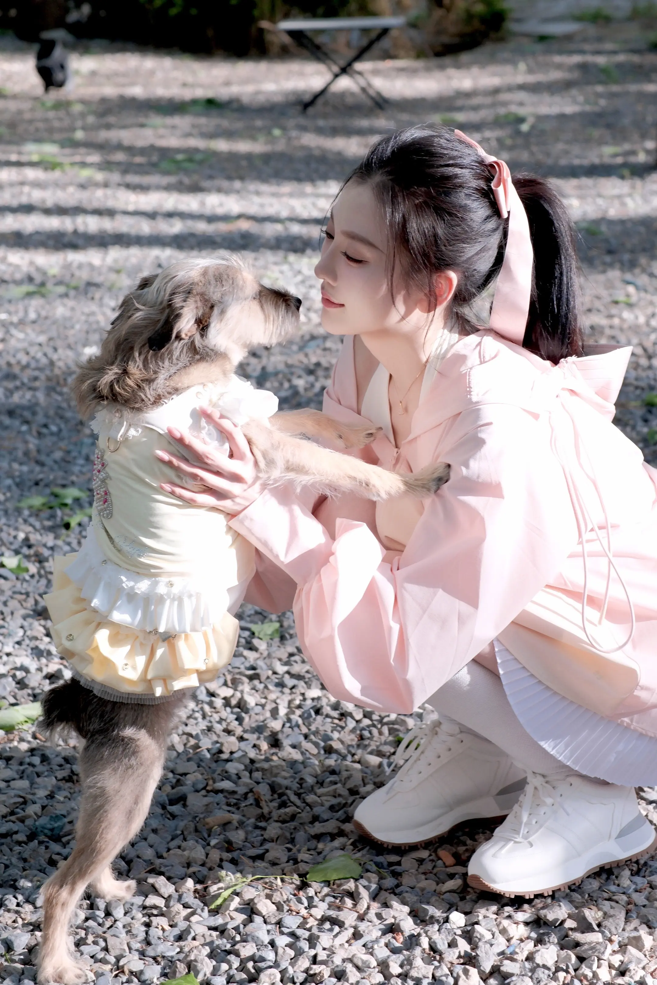 小狗拯救世界૮ ´͈ ᗜ `͈ ა 🌸。  ♥️