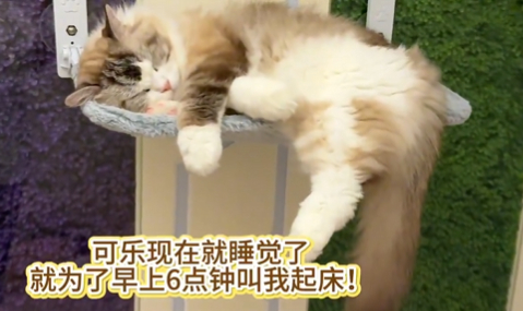 怎么这样啊 