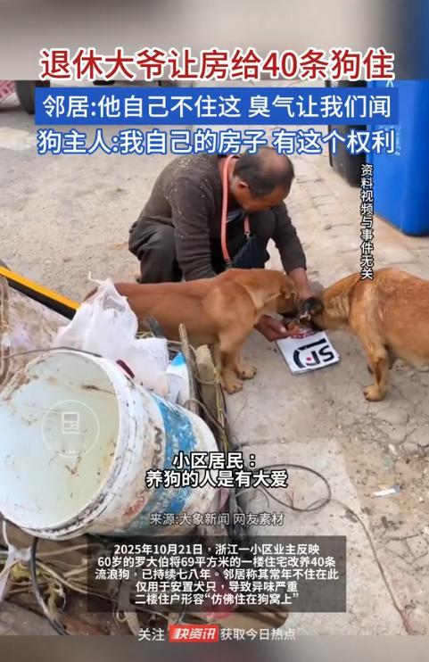 “太缺德了！”浙江杭州，一退休大爷由于没孩子，就拿出一间闲置的房子收养流浪狗，一