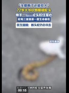 浙江大爷遭遇“蛇头复仇”，这波操作真的把人看懵了

“头都没了，还能咬人。”
