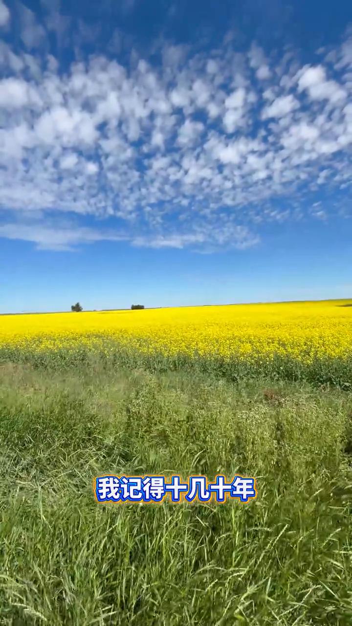 美丽签证。
我女儿跟我媳妇每天办不成了，本来那会以为回国办，他们回去俩月，而且是