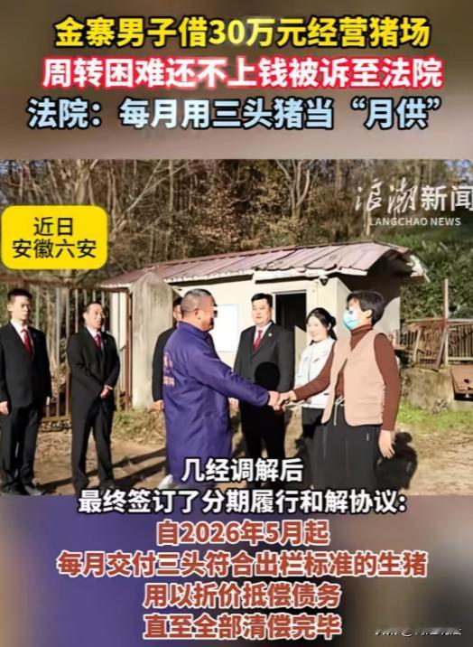 安徽六安，王某借了李某30万养猪，本想着好好干能翻身还债，可养猪过程中资金周转困
