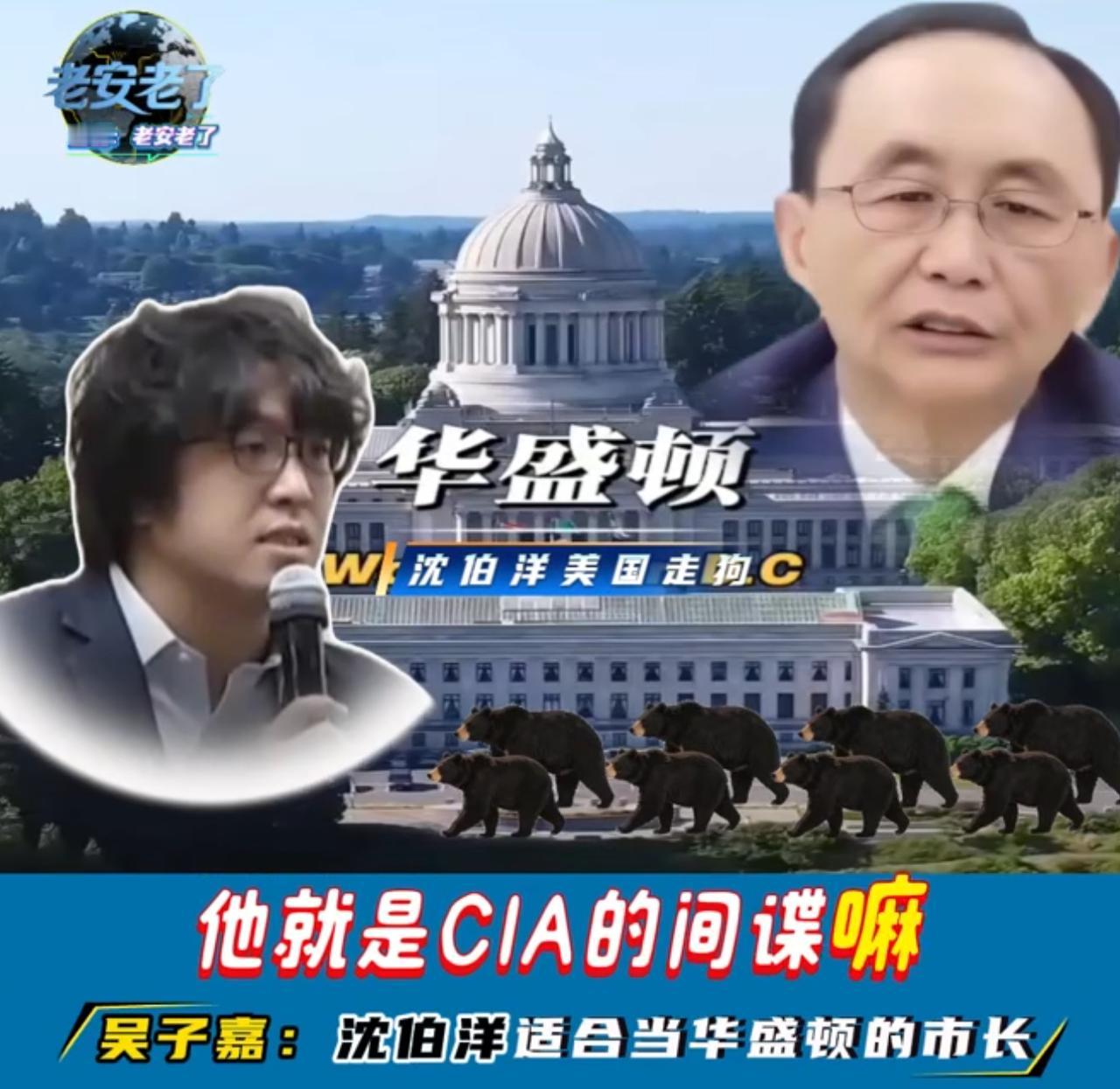 吴子嘉也太搞笑了，他要推荐沈伯洋去竞选华盛顿市的市长，他可以带着他的黑熊部队去维