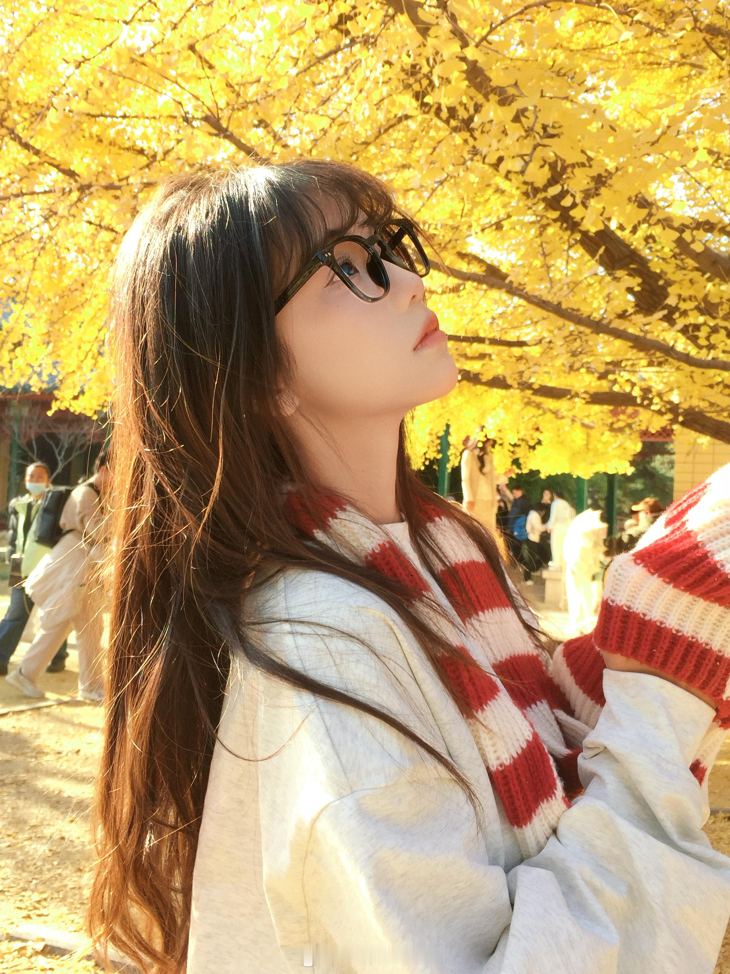 北平最后的秋🍂 